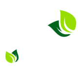 Badge 0 phyto