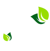 Badge 0 phyto