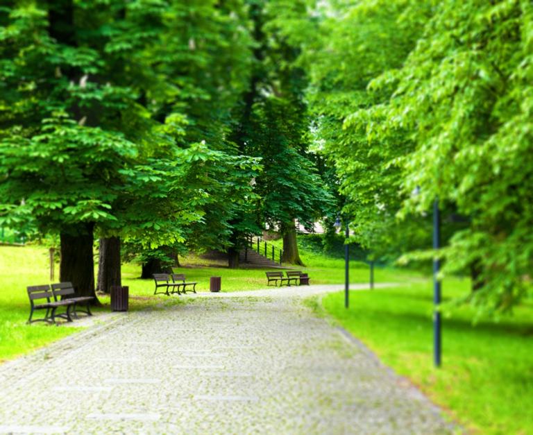 Une allée dans un parc