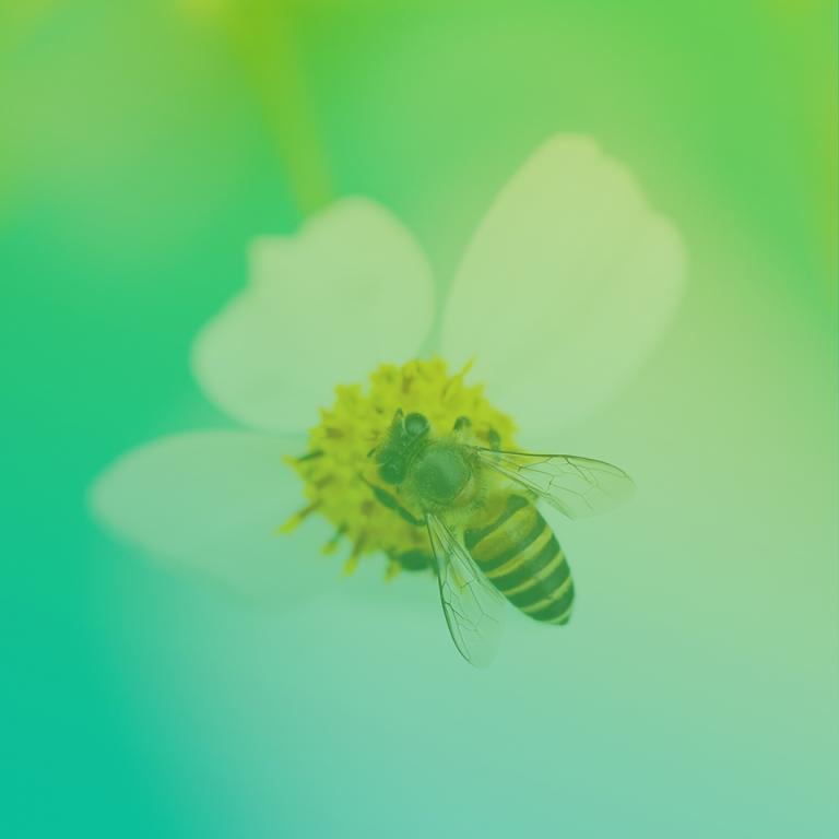 Une photo d'abeille